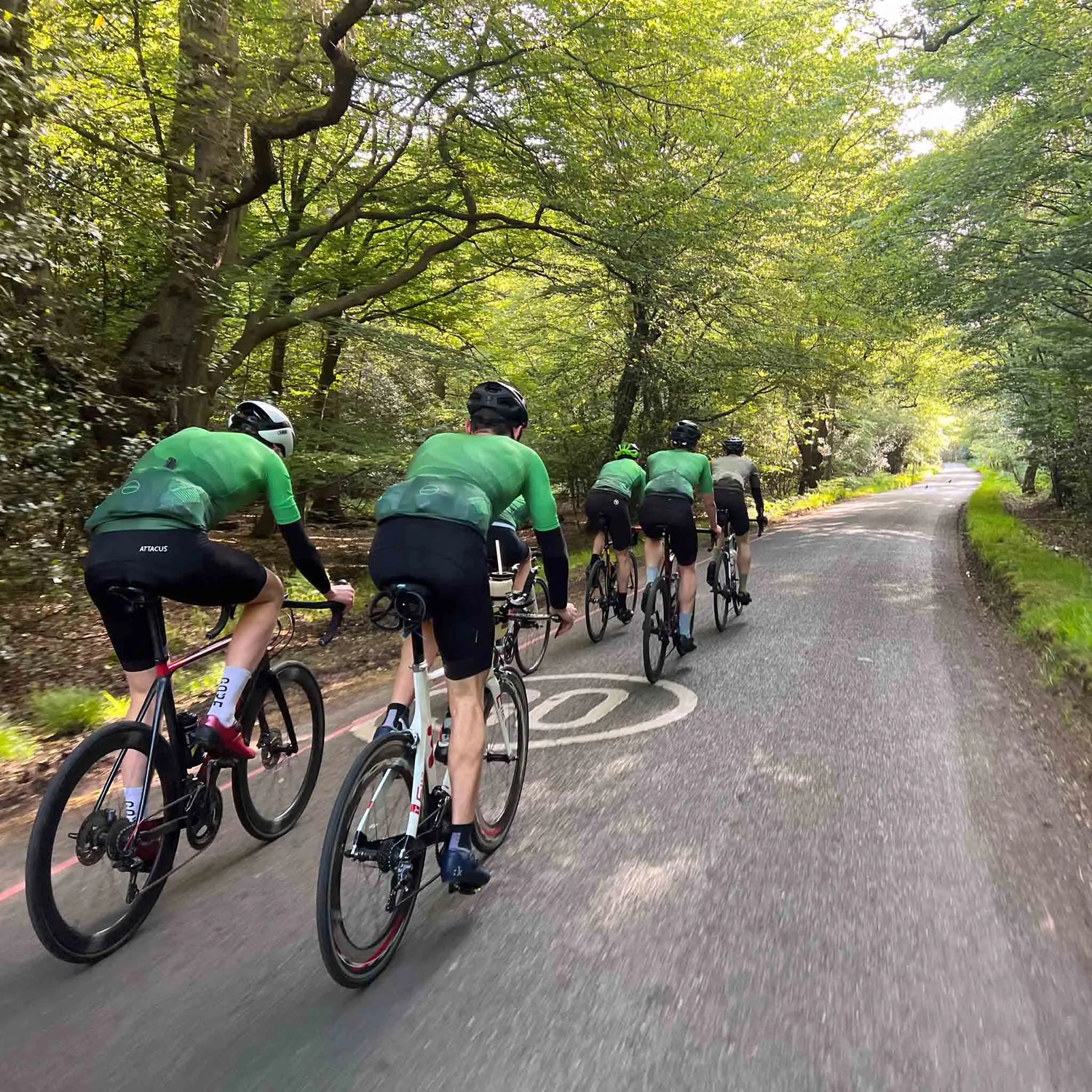 Cyclists riding through a woodland